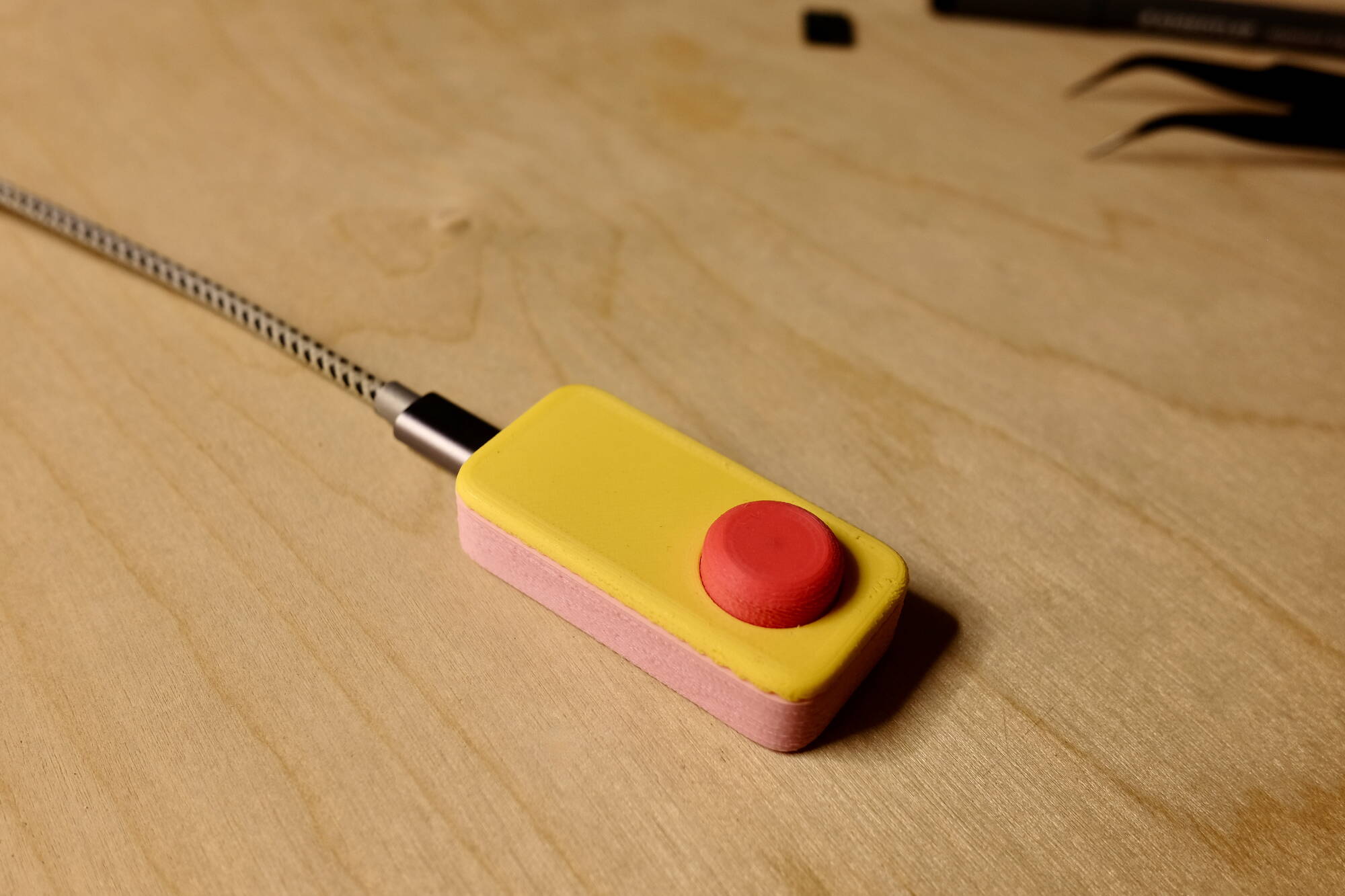 illustration of palm tree