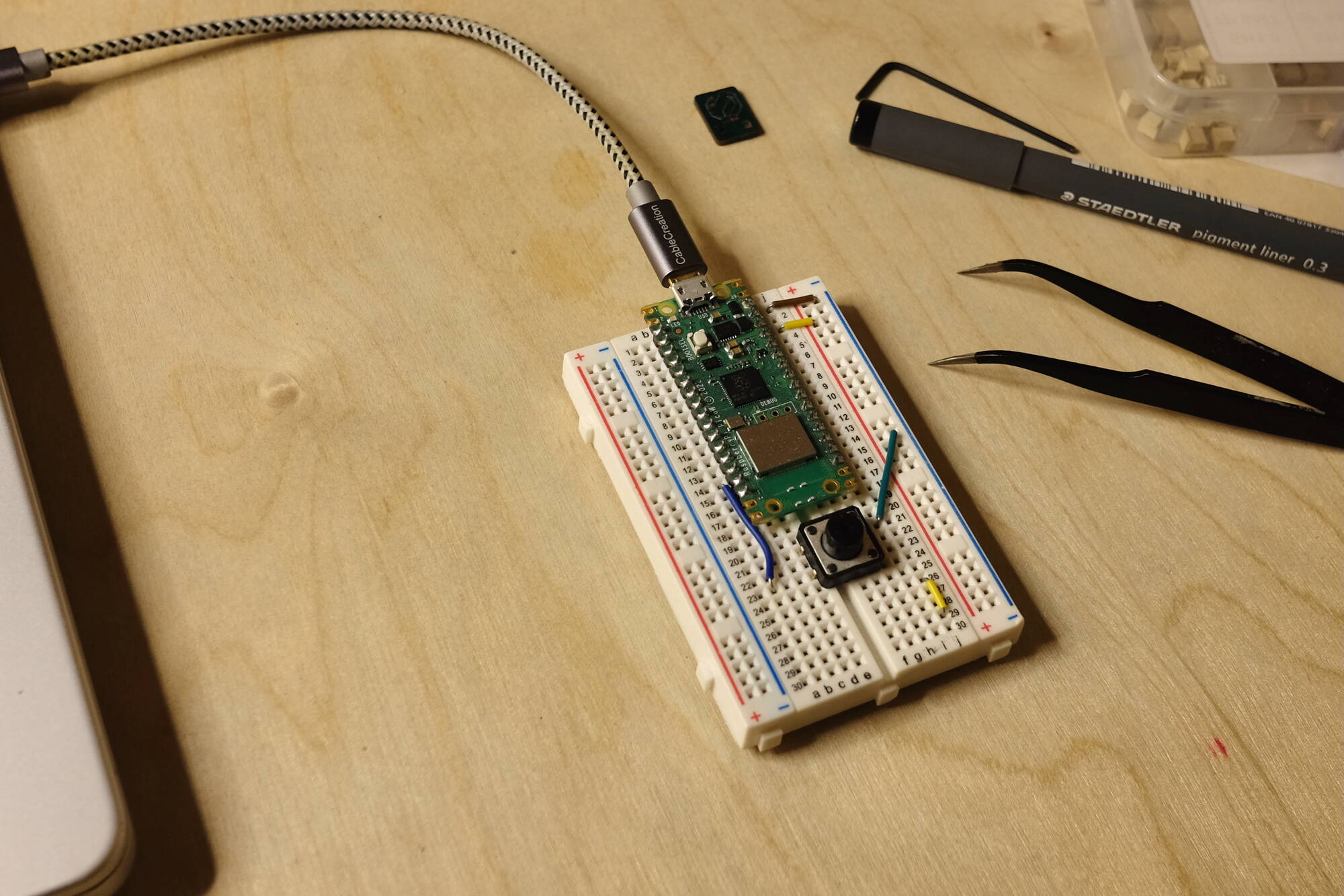 illustration of palm tree