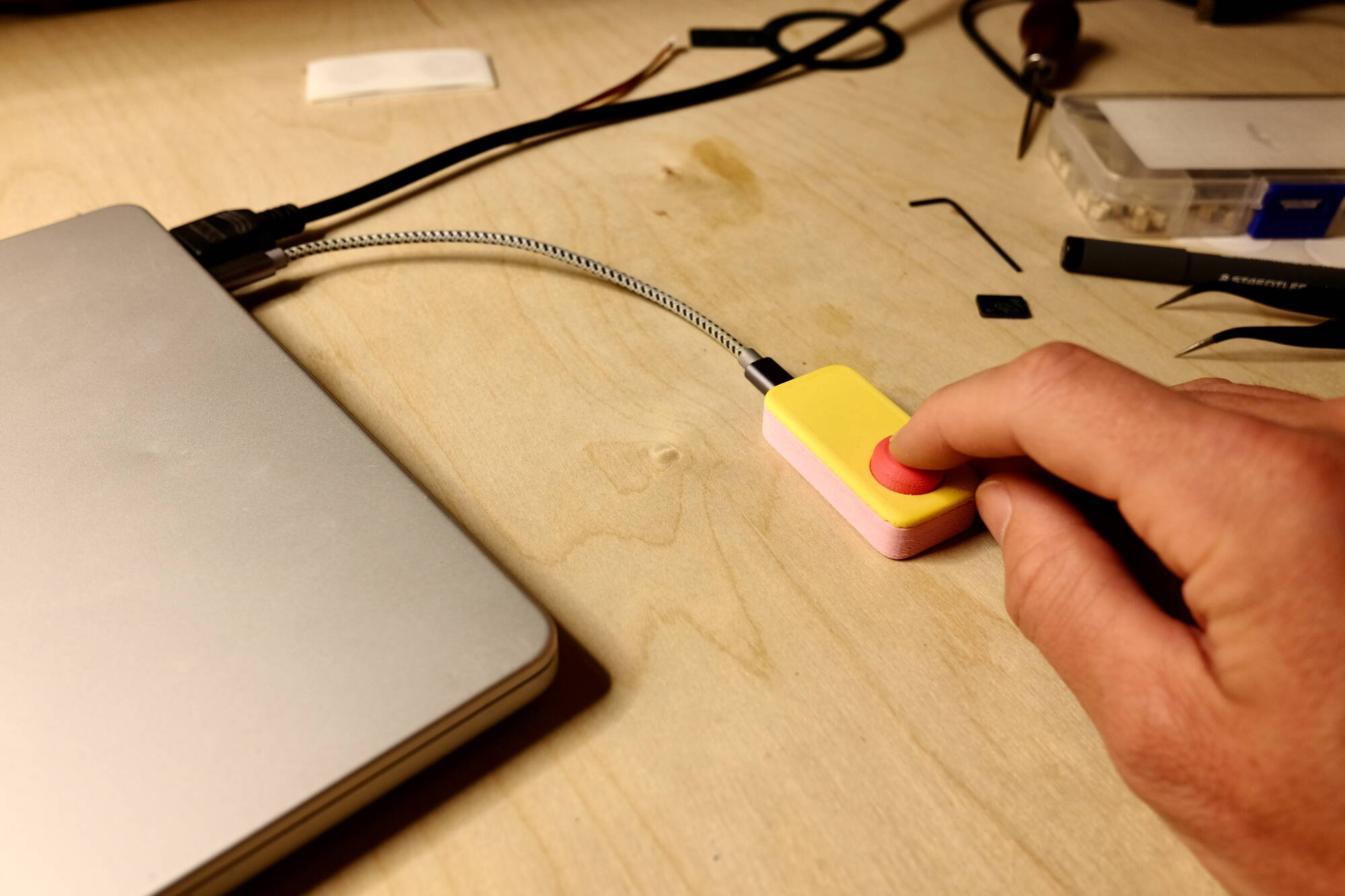 illustration of palm tree